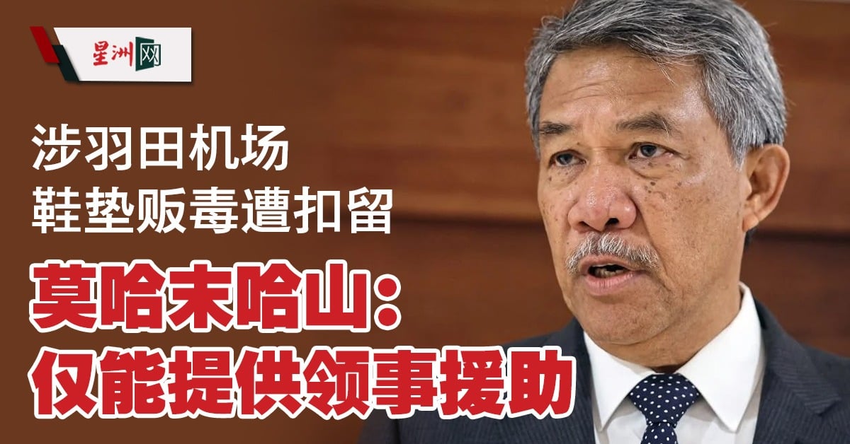 Foreign Minister Mohamad Hasan speaking at a press conference about consular assistance for Malaysian citizens arrested in Japan