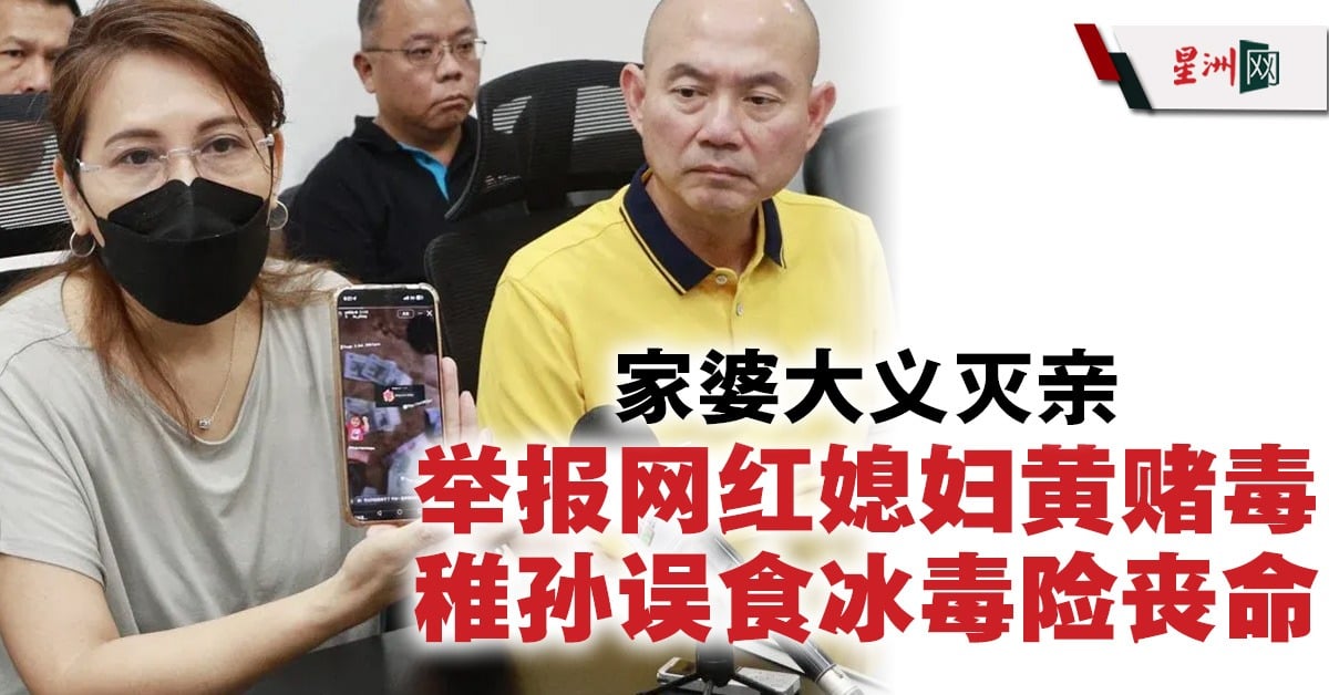 甲洞家婆举报网红媳妇事件
